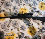 22 wmr magnum savavage model 93 